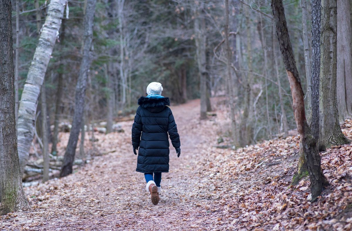 A person walking along a peaceful forest pathway in autumn
